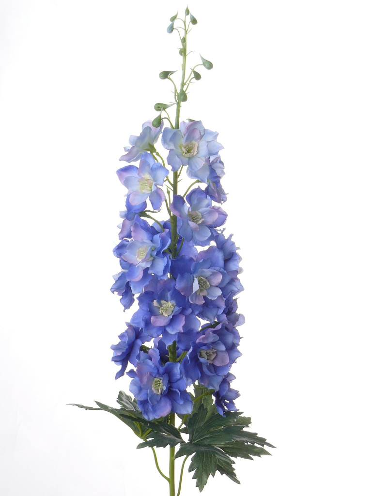 Дельфиниум эн дженнис перл в Новосибирске