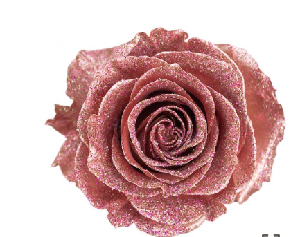 Роза краш. однг золотая в Москве