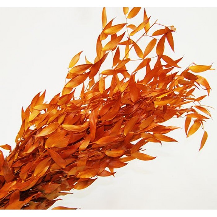 Листья Ледерварен стабилизированный краш. оранжевый