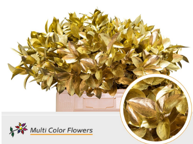 Blad Ruscus long gold