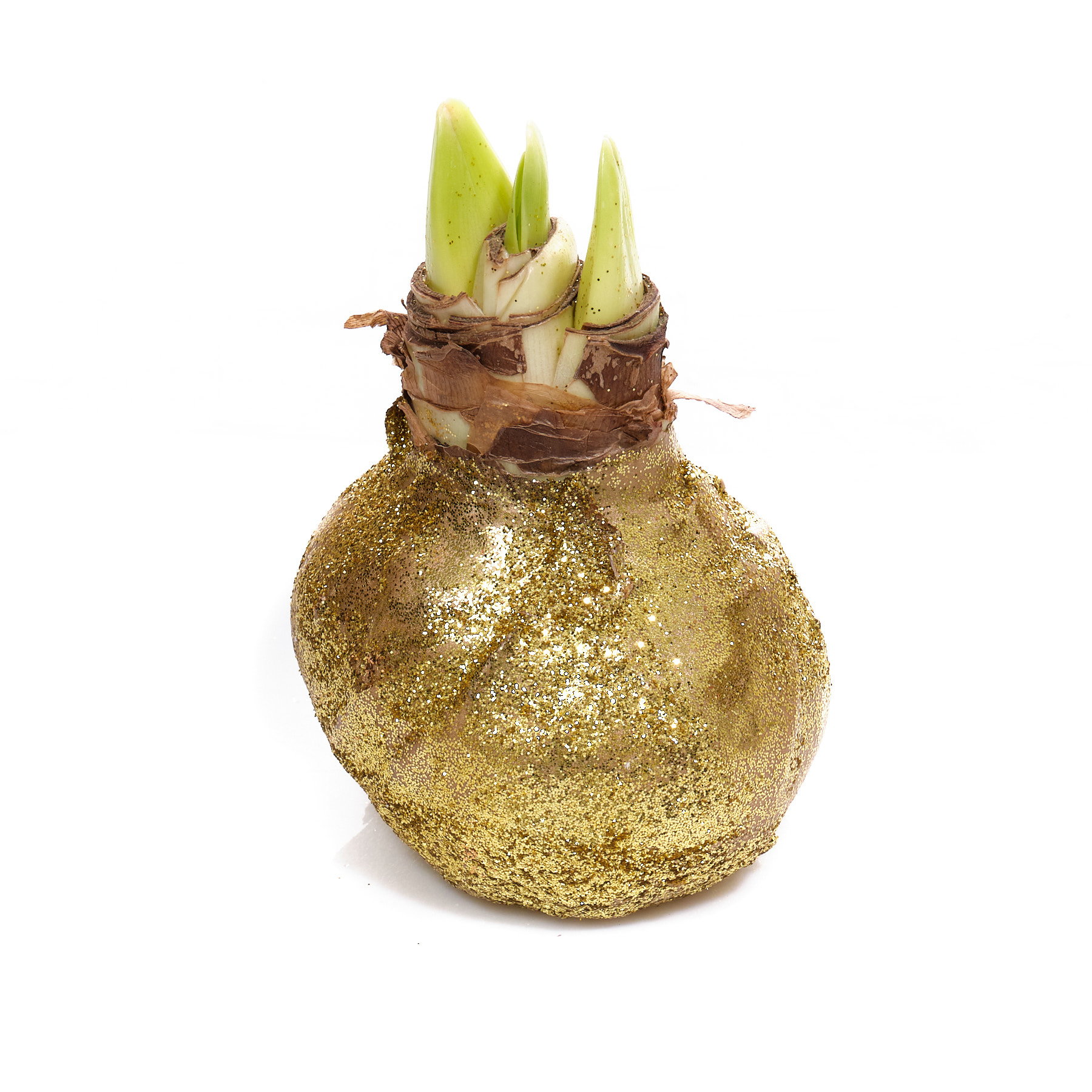 Декор луковица гиппеаструм топлайн в воске золотая с блестками