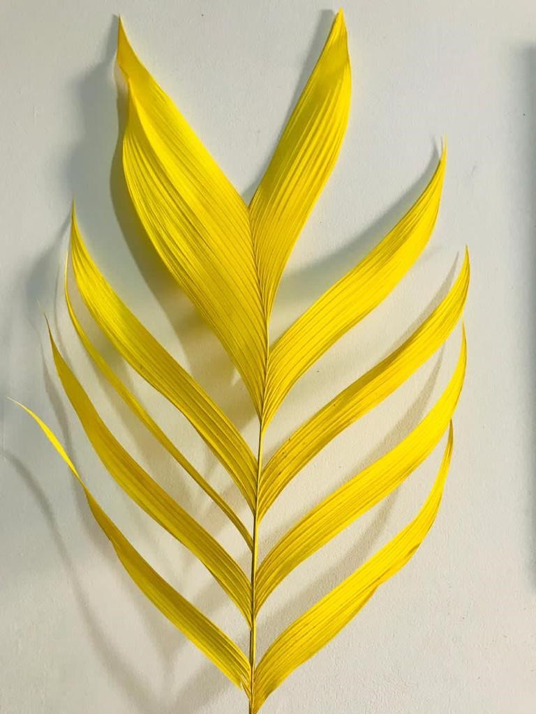 Листья Арикана краш. желтый