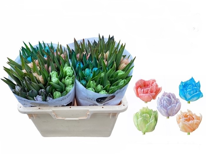 Тюльпан краш. махровый пастель микс в Москве