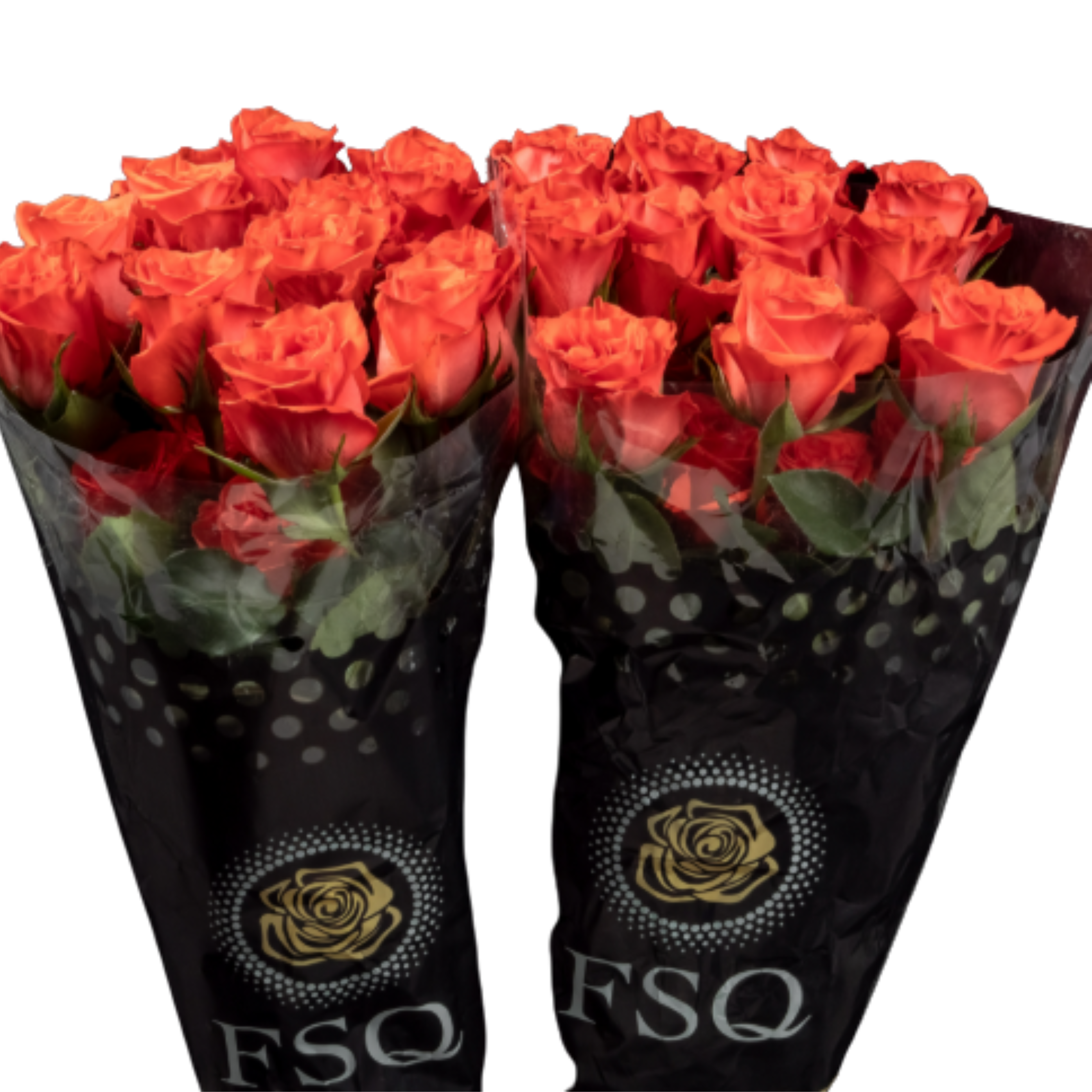 Роза однг пэшн хэд