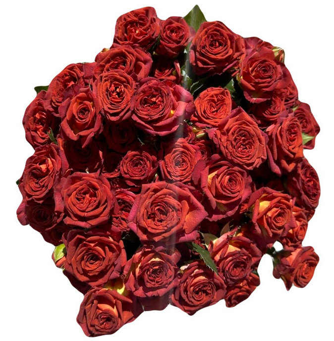 Rose spray chocolate bubbles