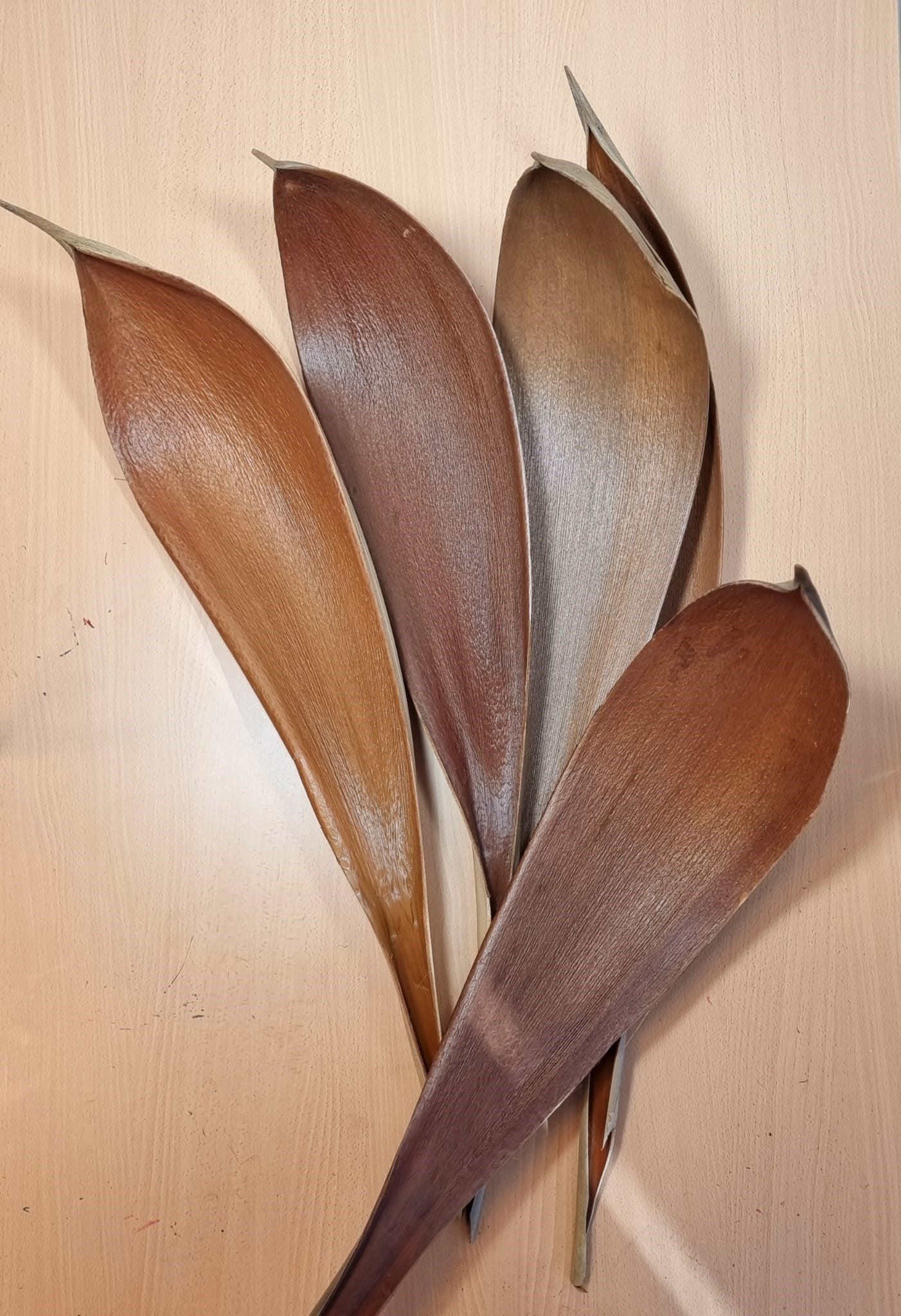 Декор Кокос медиум в Санкт-Петербурге