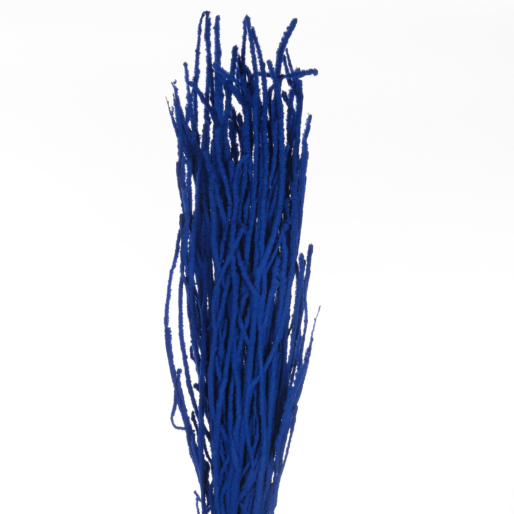 Ветки Береза краш. заснеж. синяя в Москве