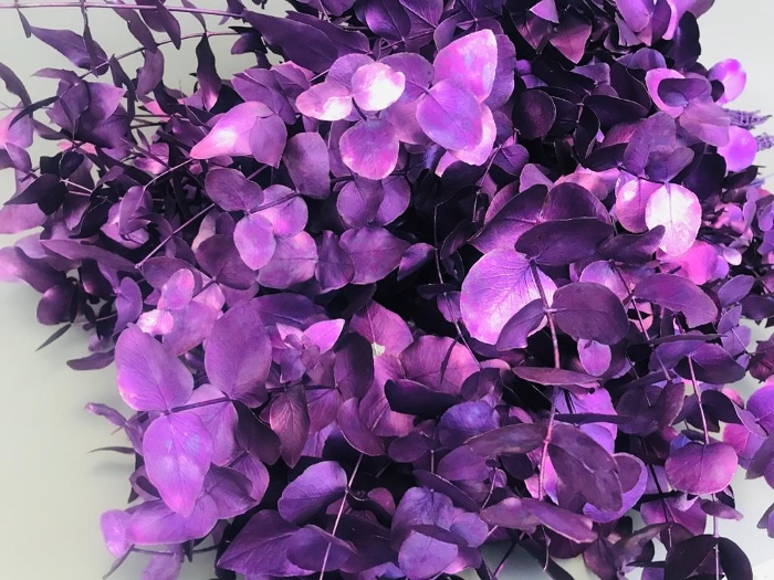 Листья Эвкалипт краш. цинерея фиолетовый в Москве