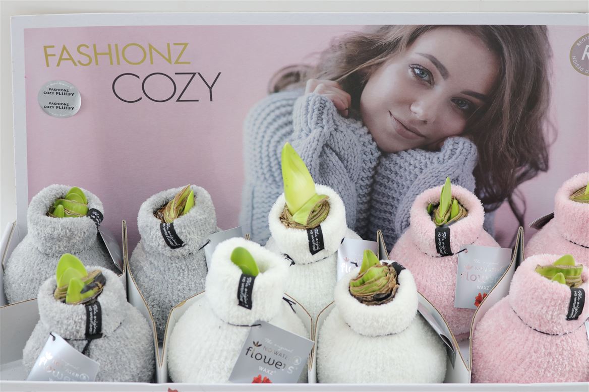 Декор луковица гиппеаструм в воске коузи флуффи микс в Москве