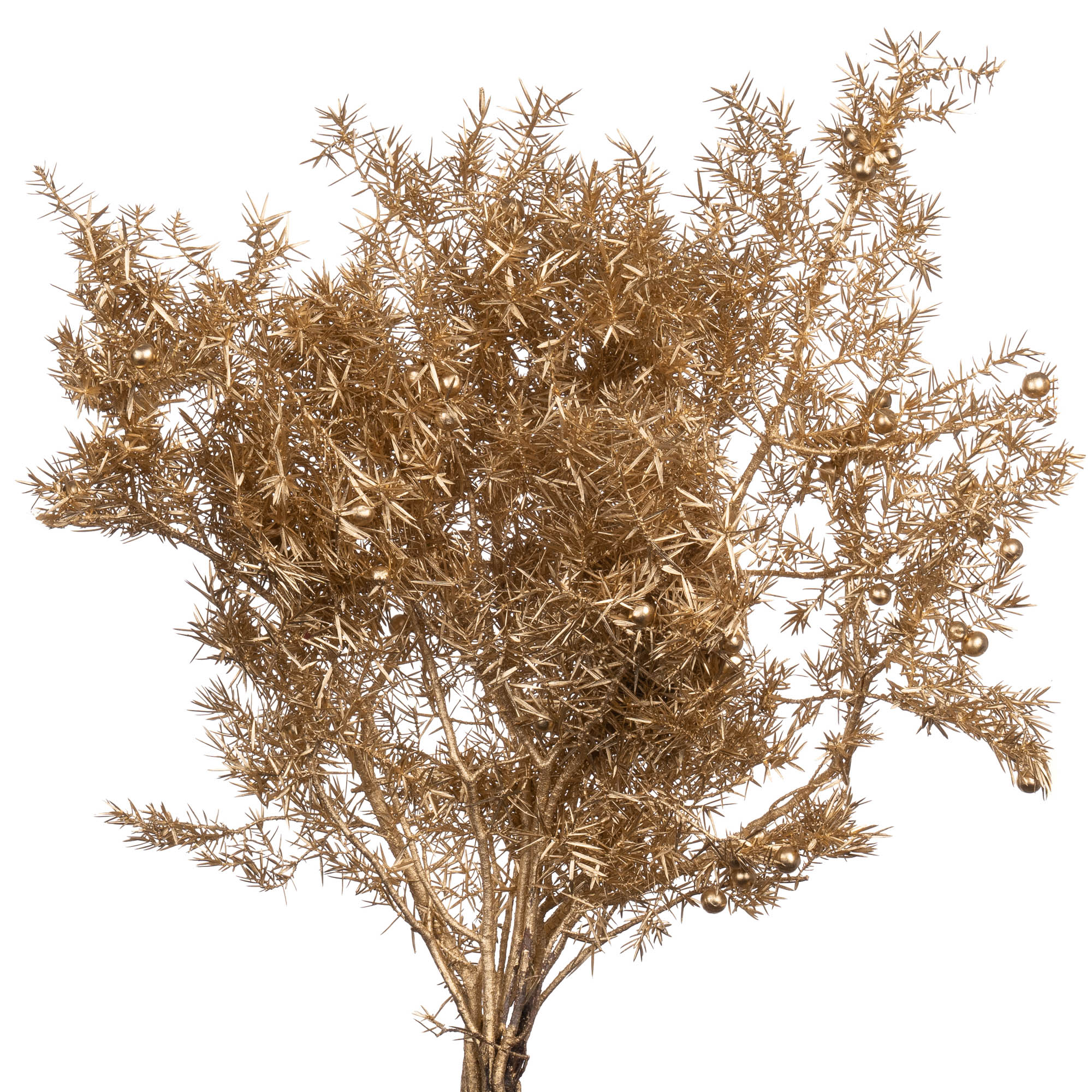 Juniperus dyed gold metal