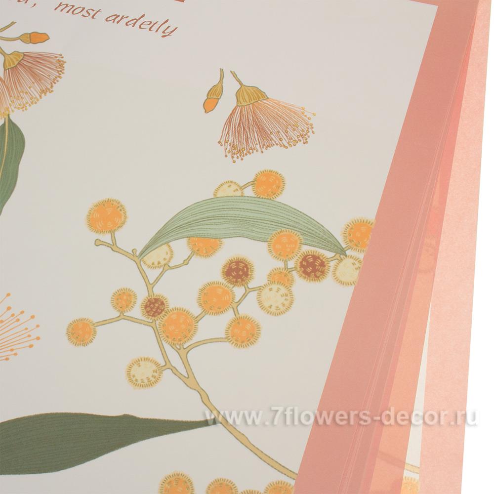 Набор дизайнерской бумаги "Sweetheart" 80г/м2, 58х50 см (10шт) оранжевый
