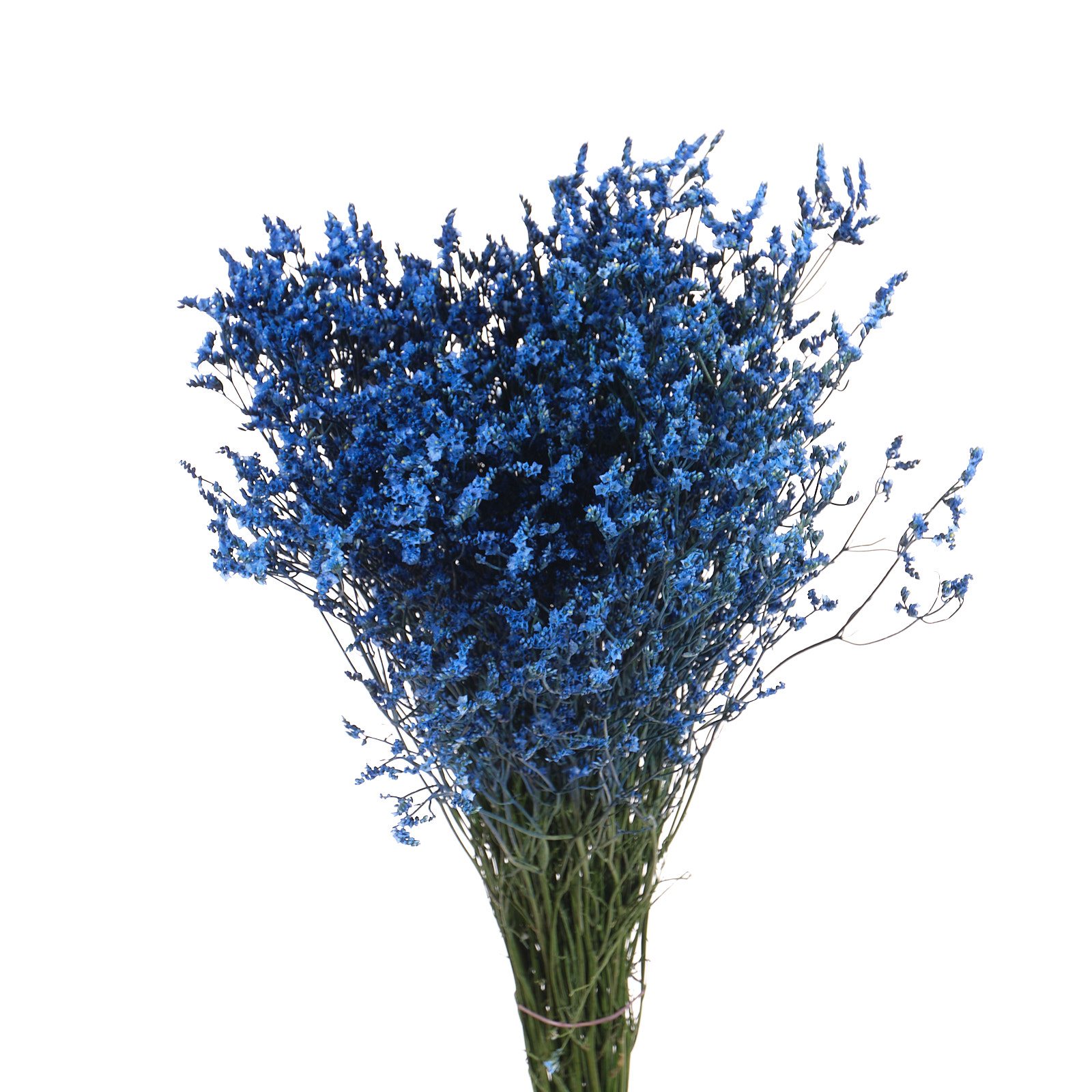 Лимониум светло-синий