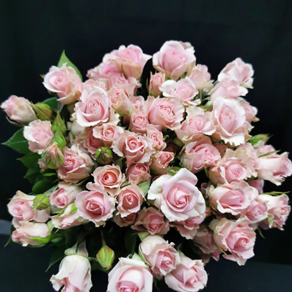 Rose spray fleurette