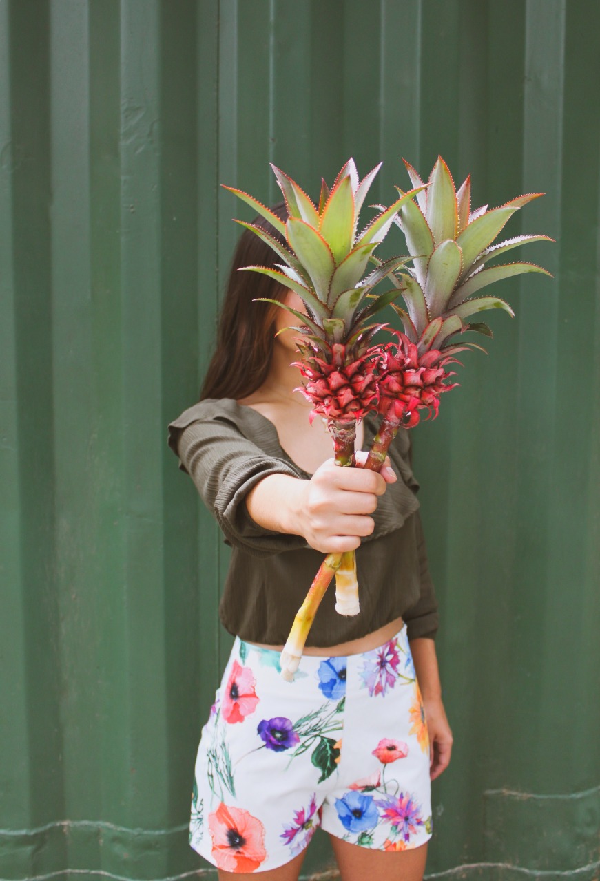 Ananas torch