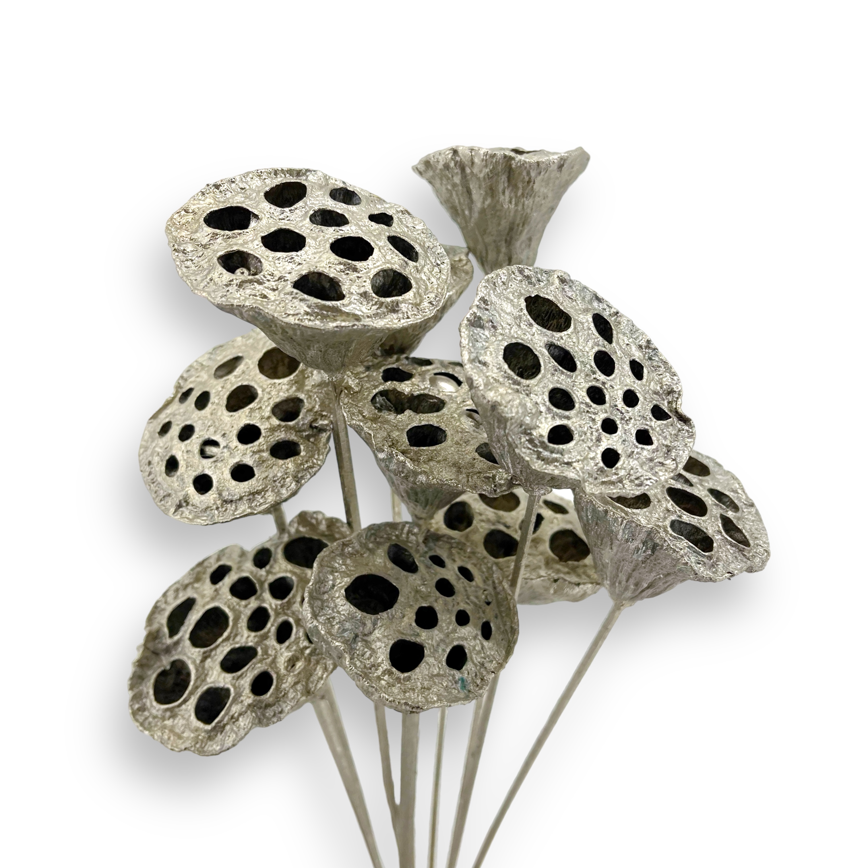 Декор плод лотоса на штекере шампань золотой