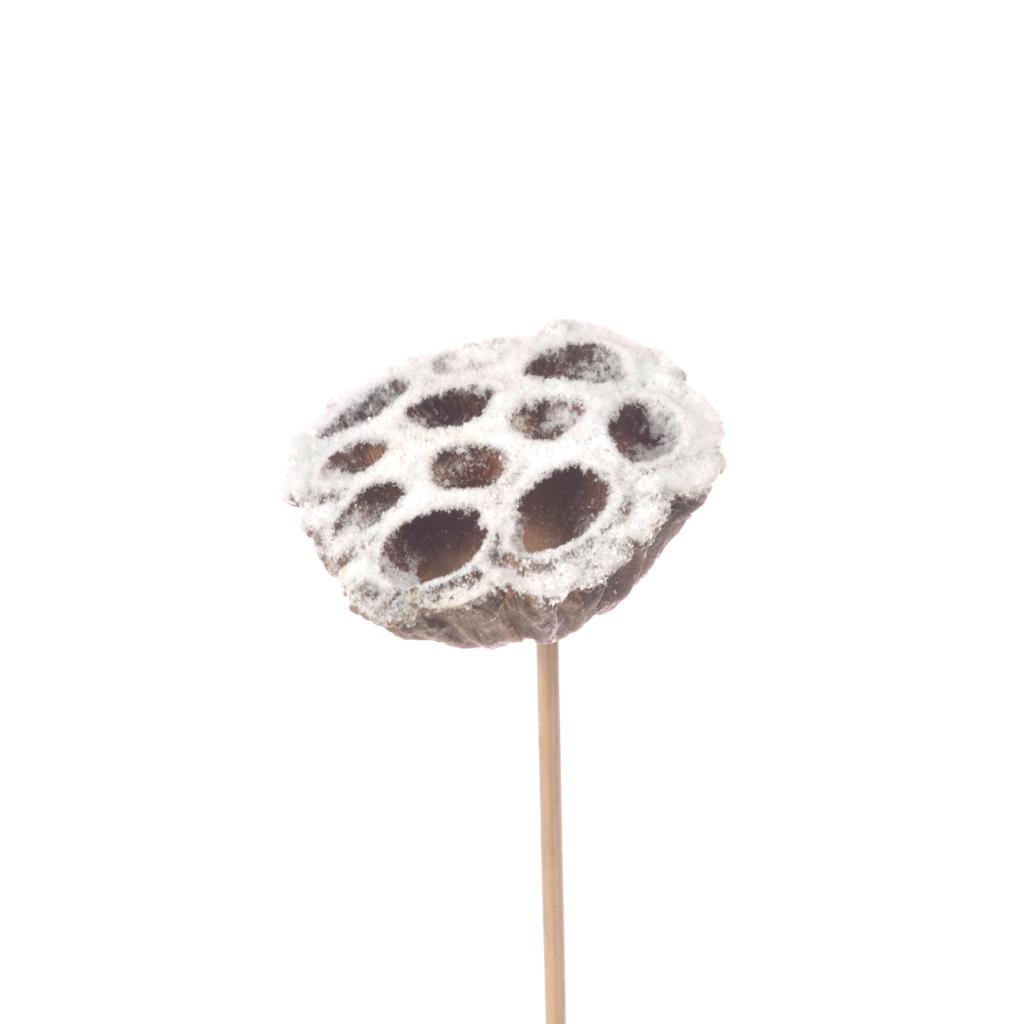 Декор плод лотоса на штекере, заснеженый