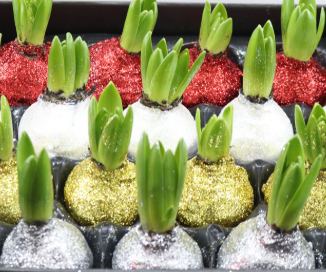 Декор луковица гиацинта топлайн в воске микс с блестками в Москве