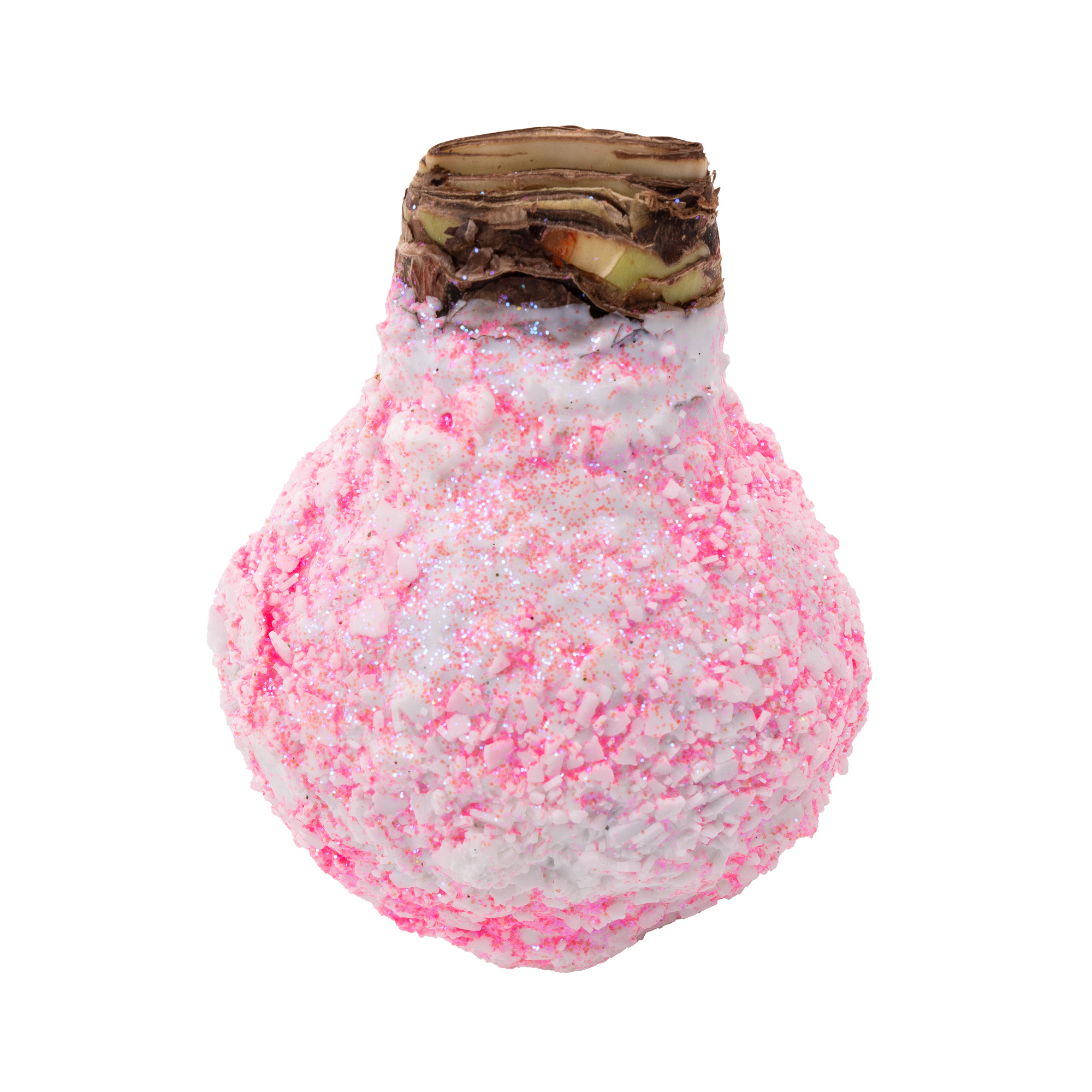 Декор луковица гиппеаструм топлайн в воске розовая заснеженная