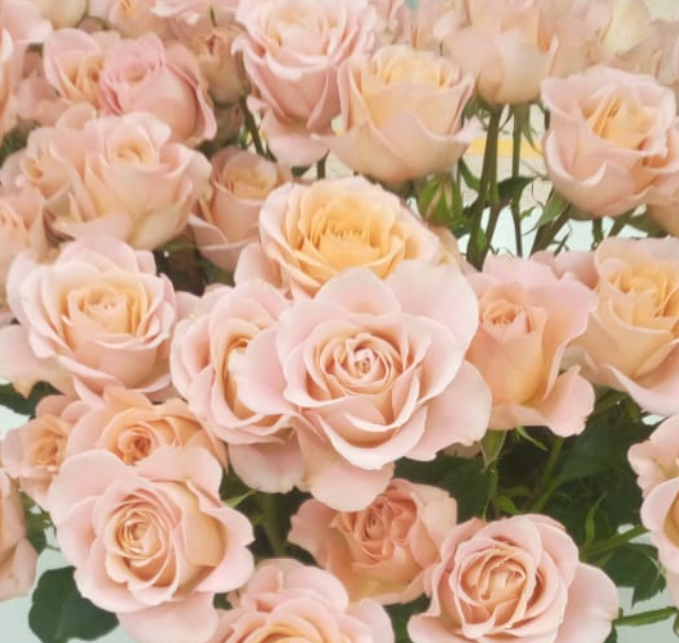 Rose spray sundial