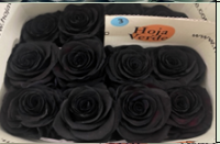 Роза краш. однг блэк спирит в Новосибирске