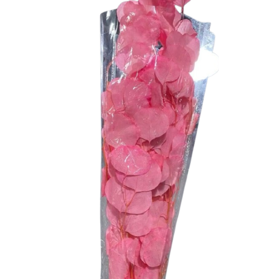 Blad Eucalyptus tinted preserved cinerea pink
