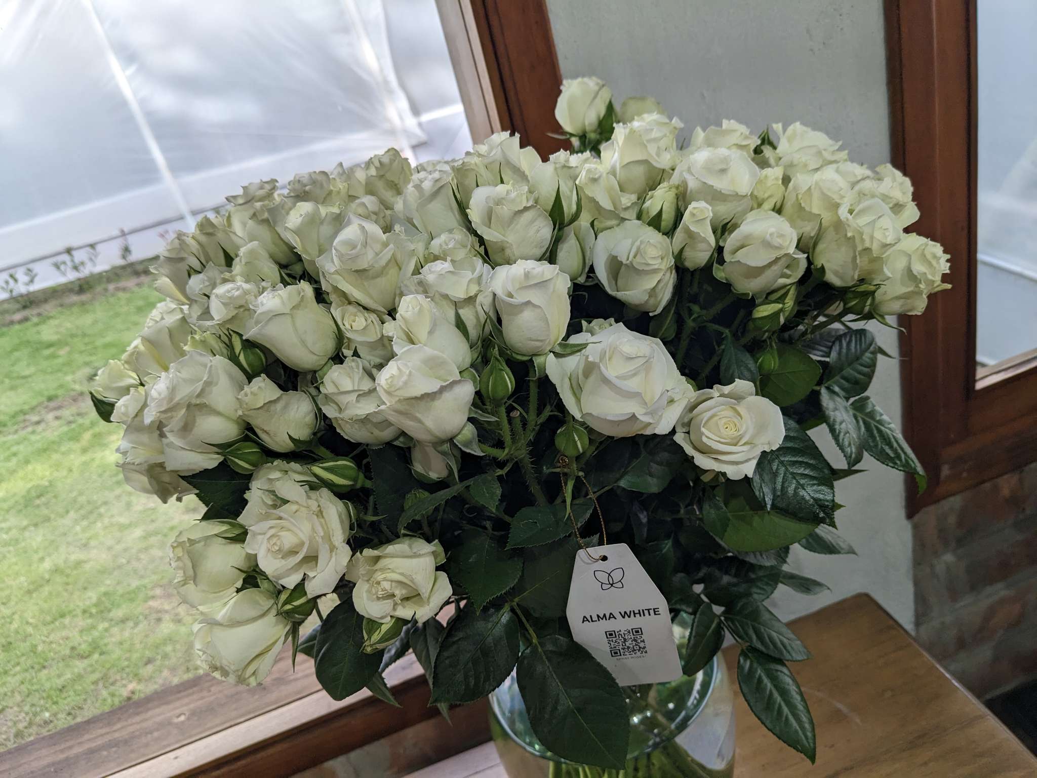 Rose spray alma white
