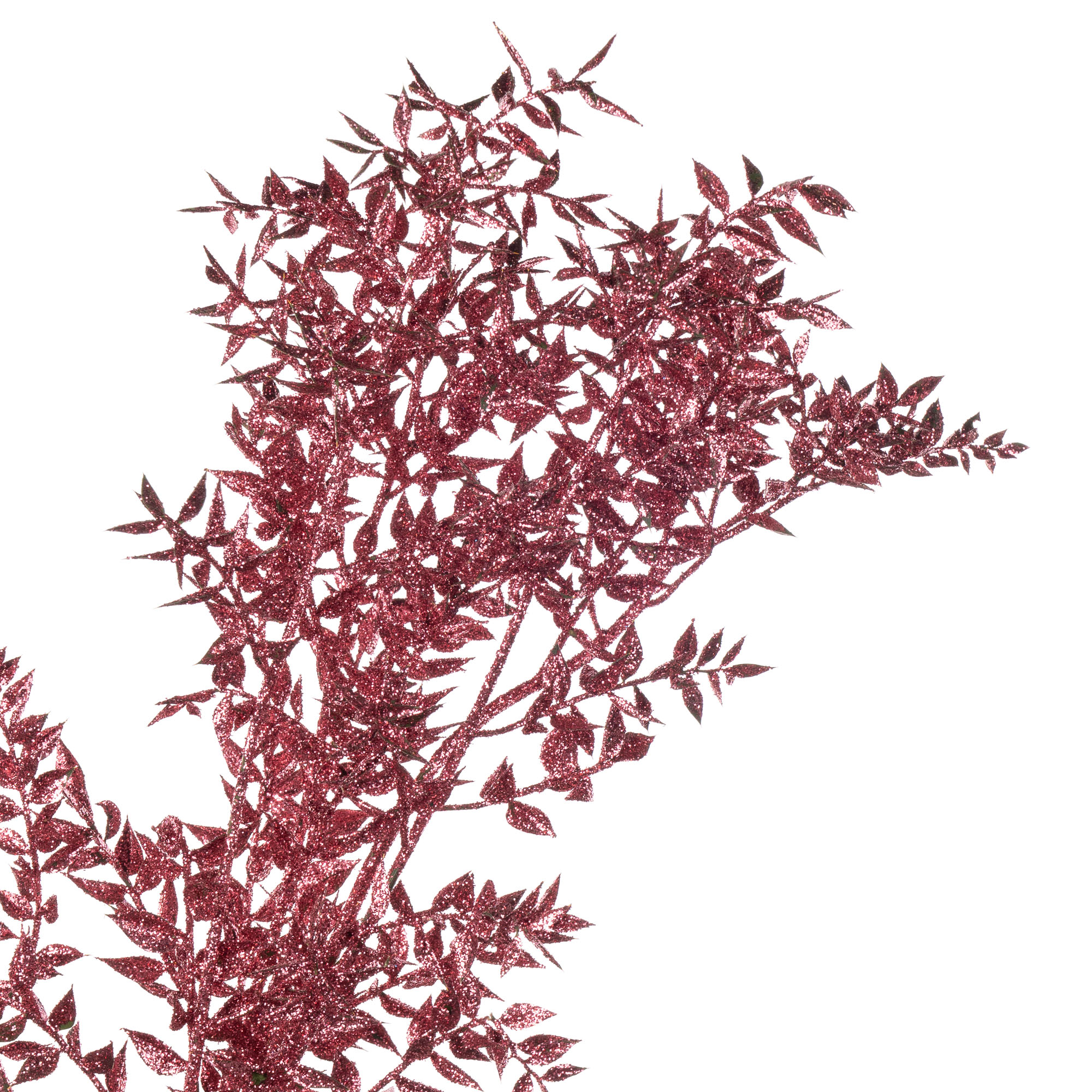 Листья Рускус краш. с блестками вайлд голден роуз в Москве