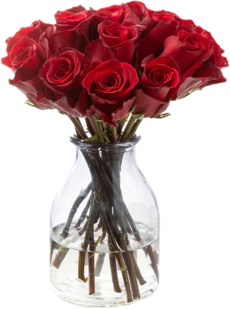 Rose eternity | Wholesale flowers, plants and supplies Rose eternity