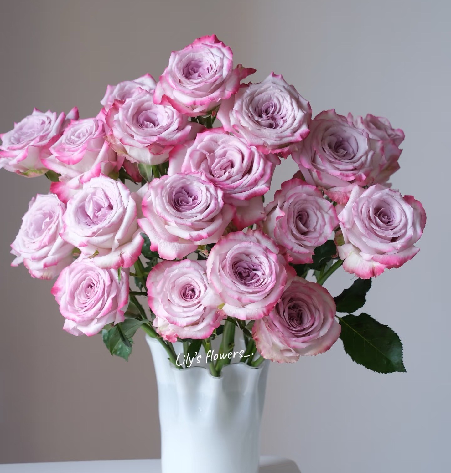 Роза гр ки филд