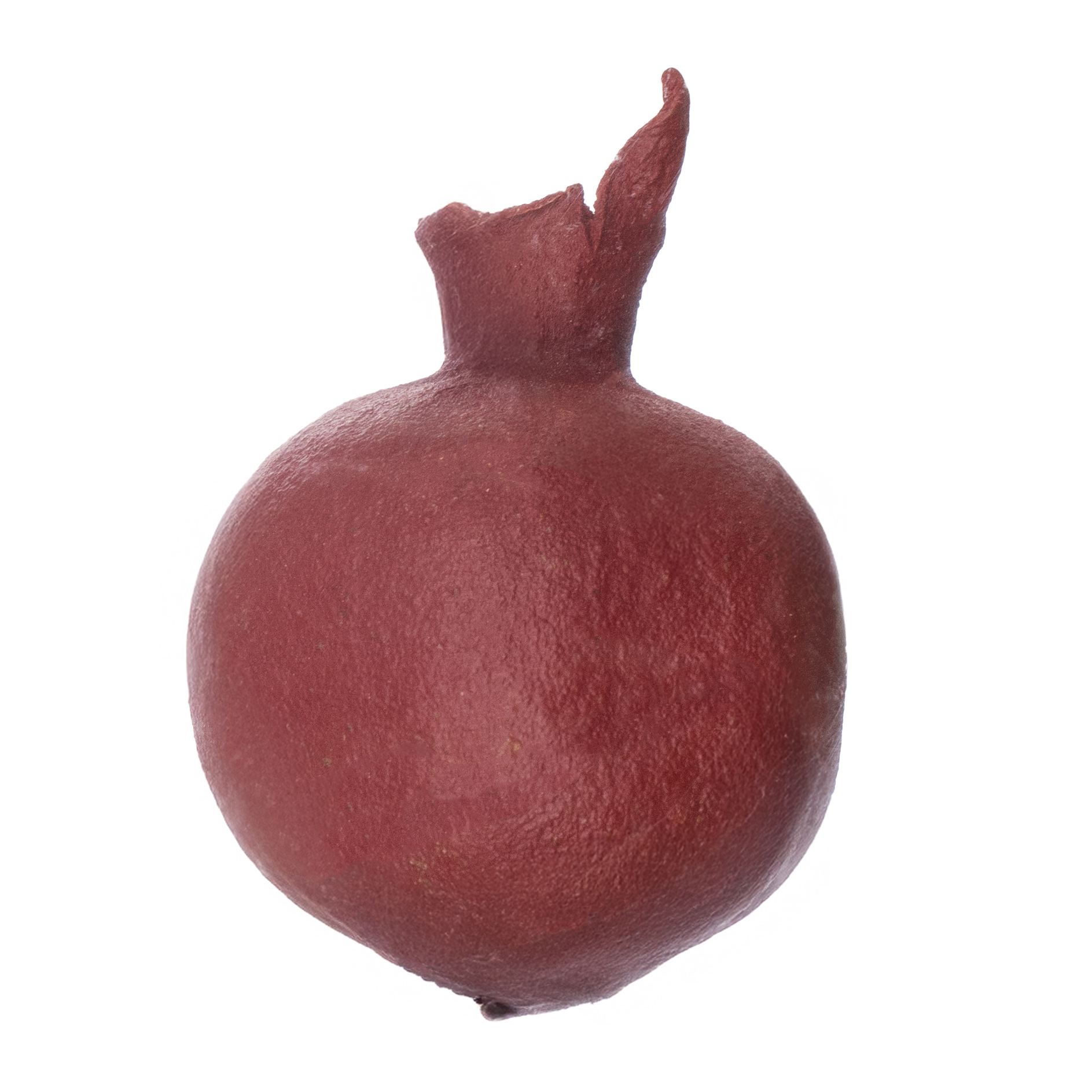 Плоды граната сухие в Санкт-Петербурге