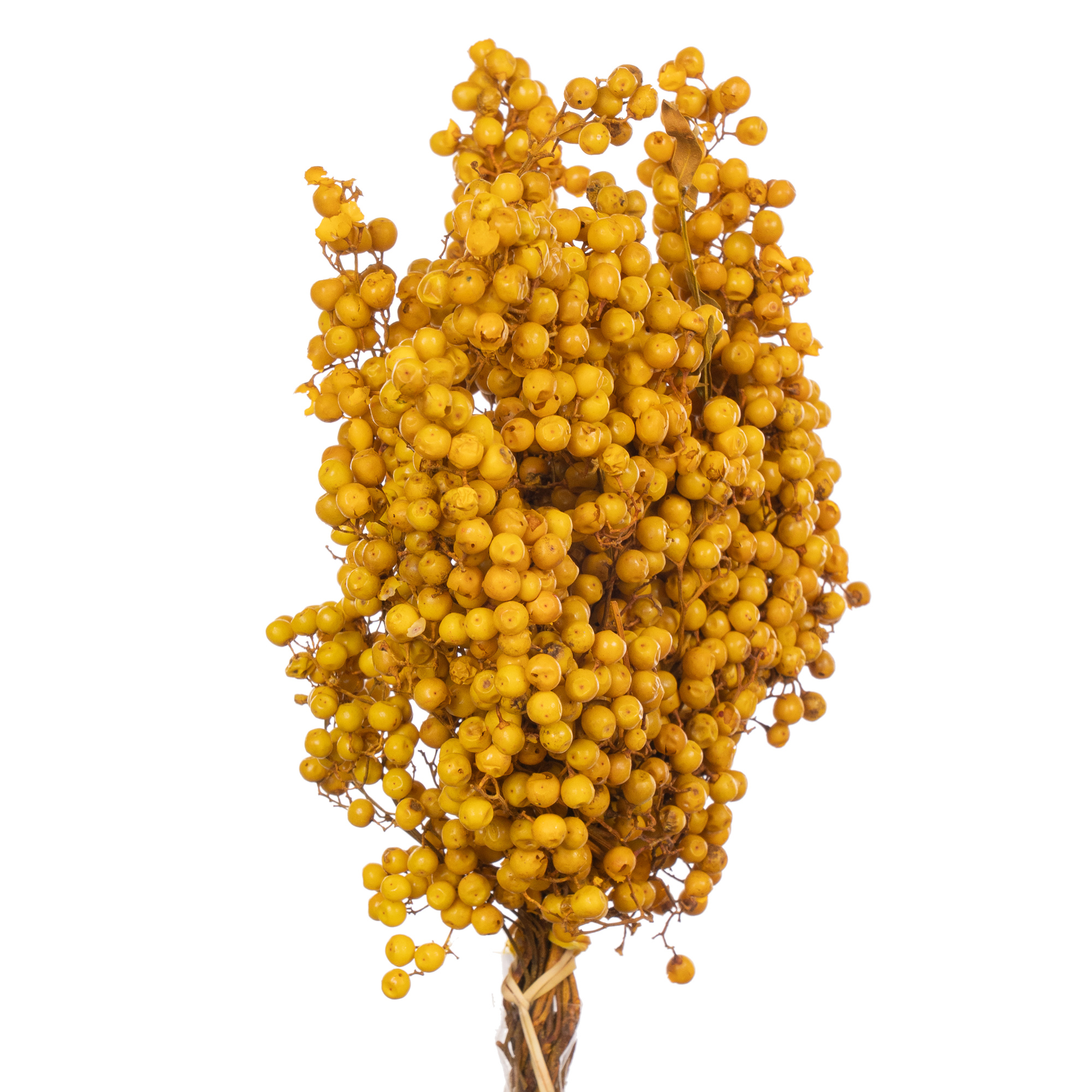 Капсикум шинос молис жёлтый