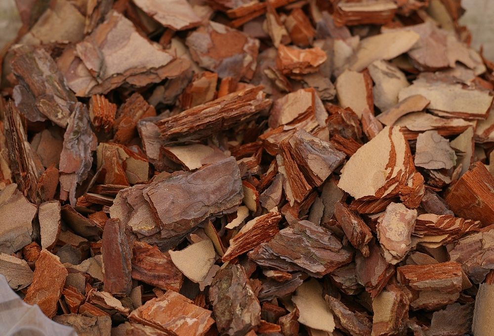 Кора Дерева 5 кг в Москве