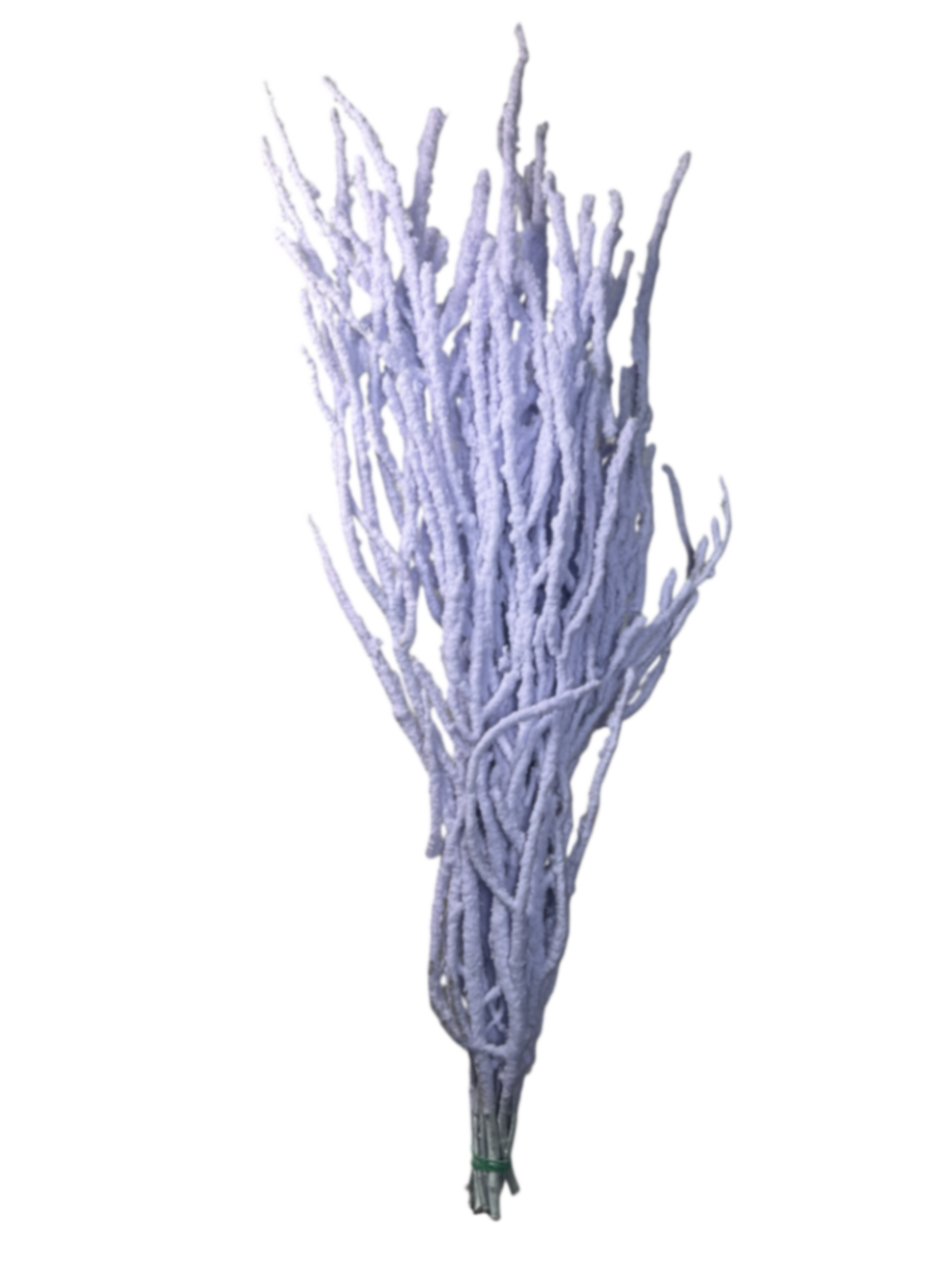 Ветки Береза краш. лавандовый заснеженный