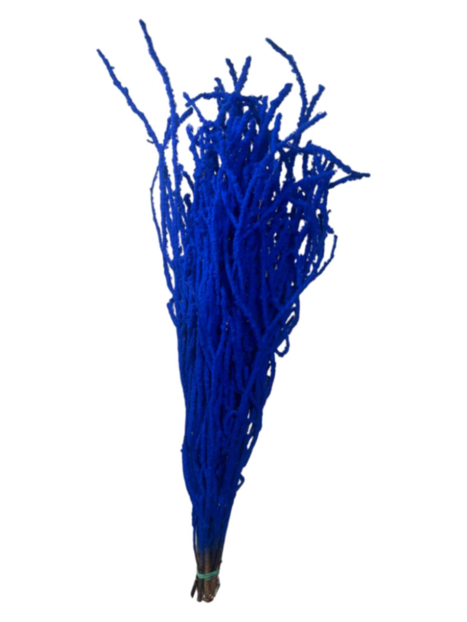 Ветки Береза краш. заснеж. медиум синяя