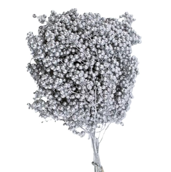 Капсикум шинос молис серебряный в Москве