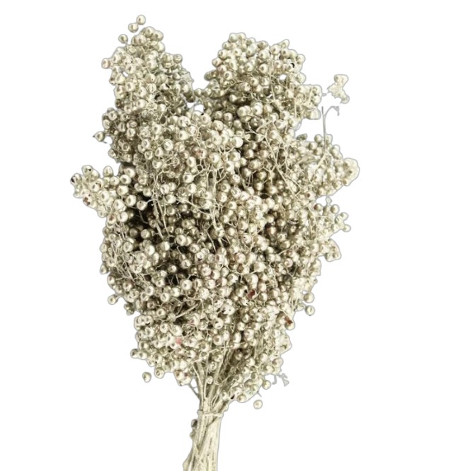 Капсикум шинос молис платиновый в Москве