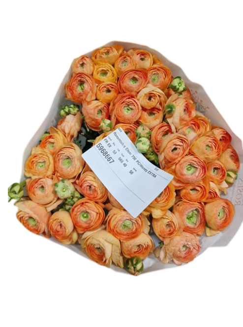 Ранункулус клуни хани в Москве