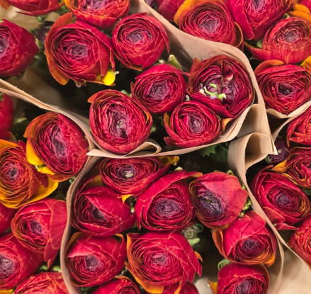 Ранункулус клуни флейм