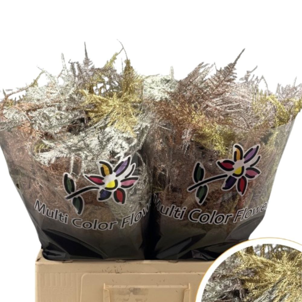 Листья Аспарагус краш. плюмозус миддел рождественский микс металлик в Новосибирске