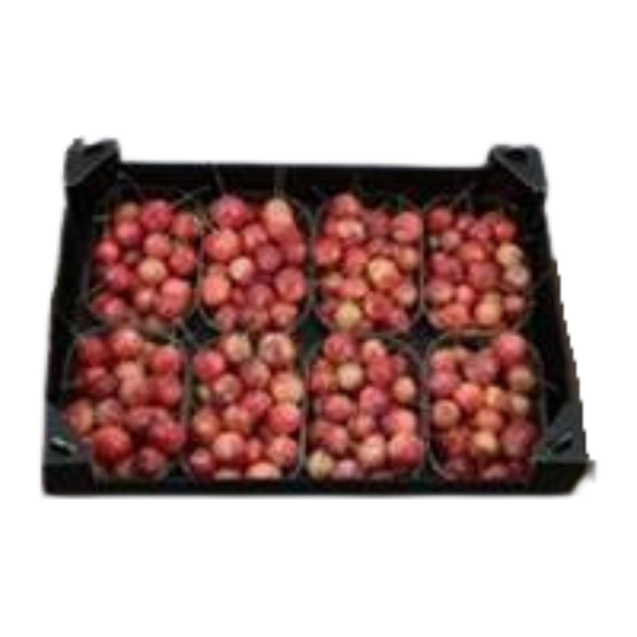 Декор малус в воске натуральные в Москве