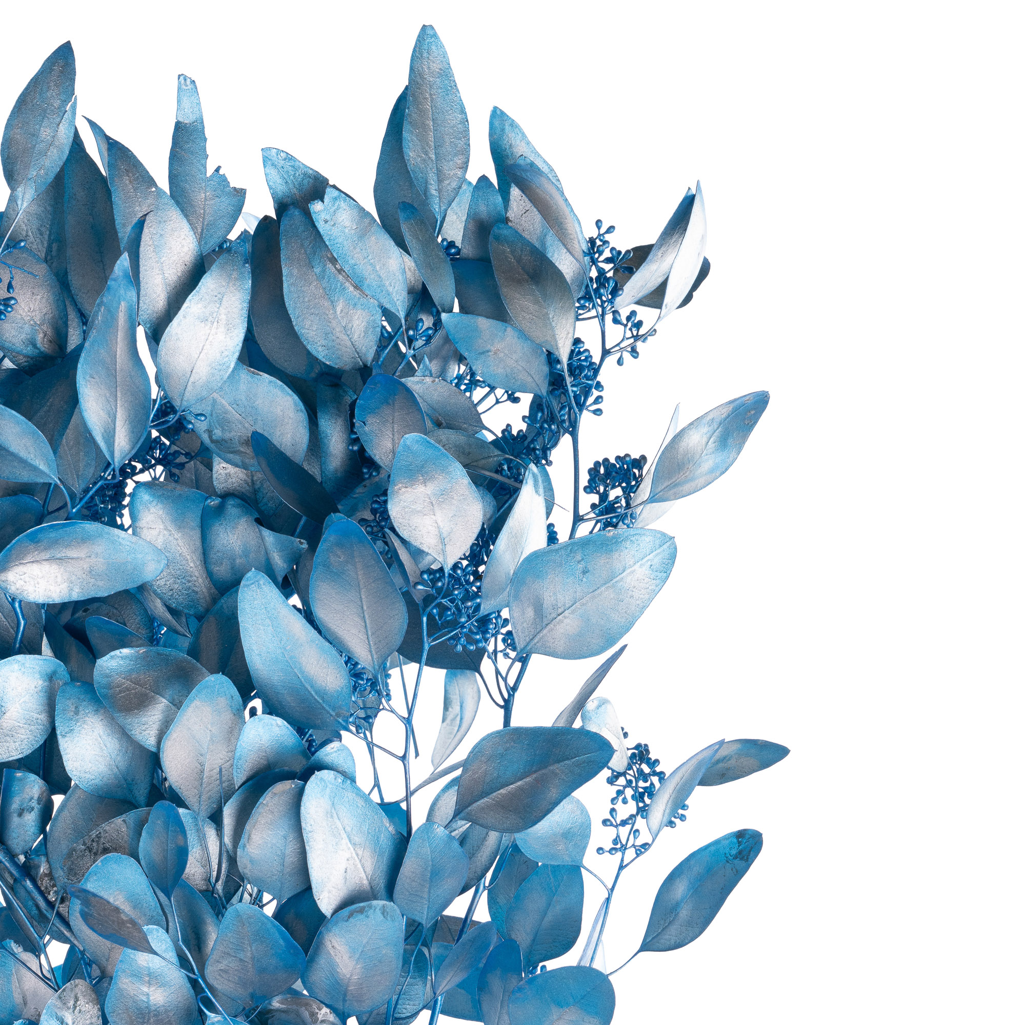 Листья Эвкалипт краш. металлик популус бадс синий в Новосибирске