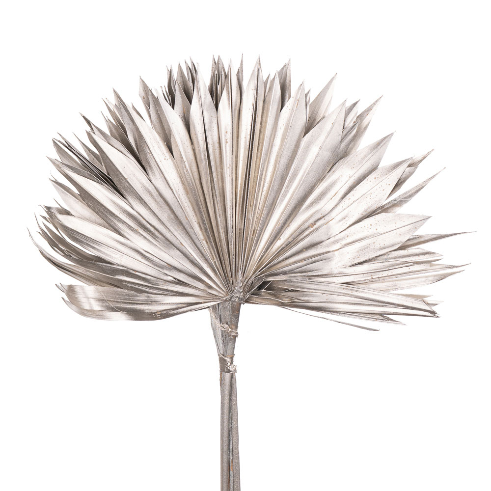 Листья пальм сухие краш. платина в Новосибирске