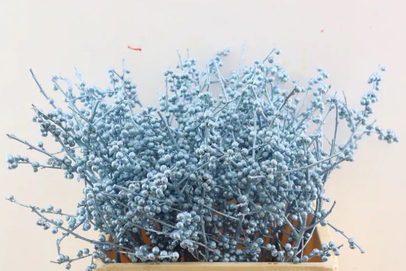 Илекс краш. с блестками голубой в Москве