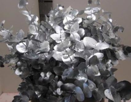 Листья Эвкалипт краш. шорт ценерея серебряный в Новосибирске