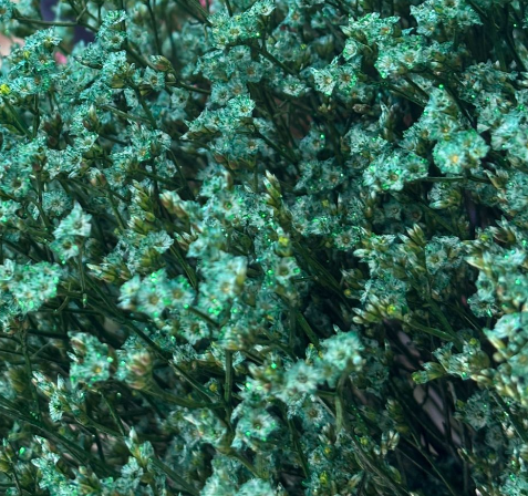 Лимониум краш. с блестками пина колада зеленый в Москве