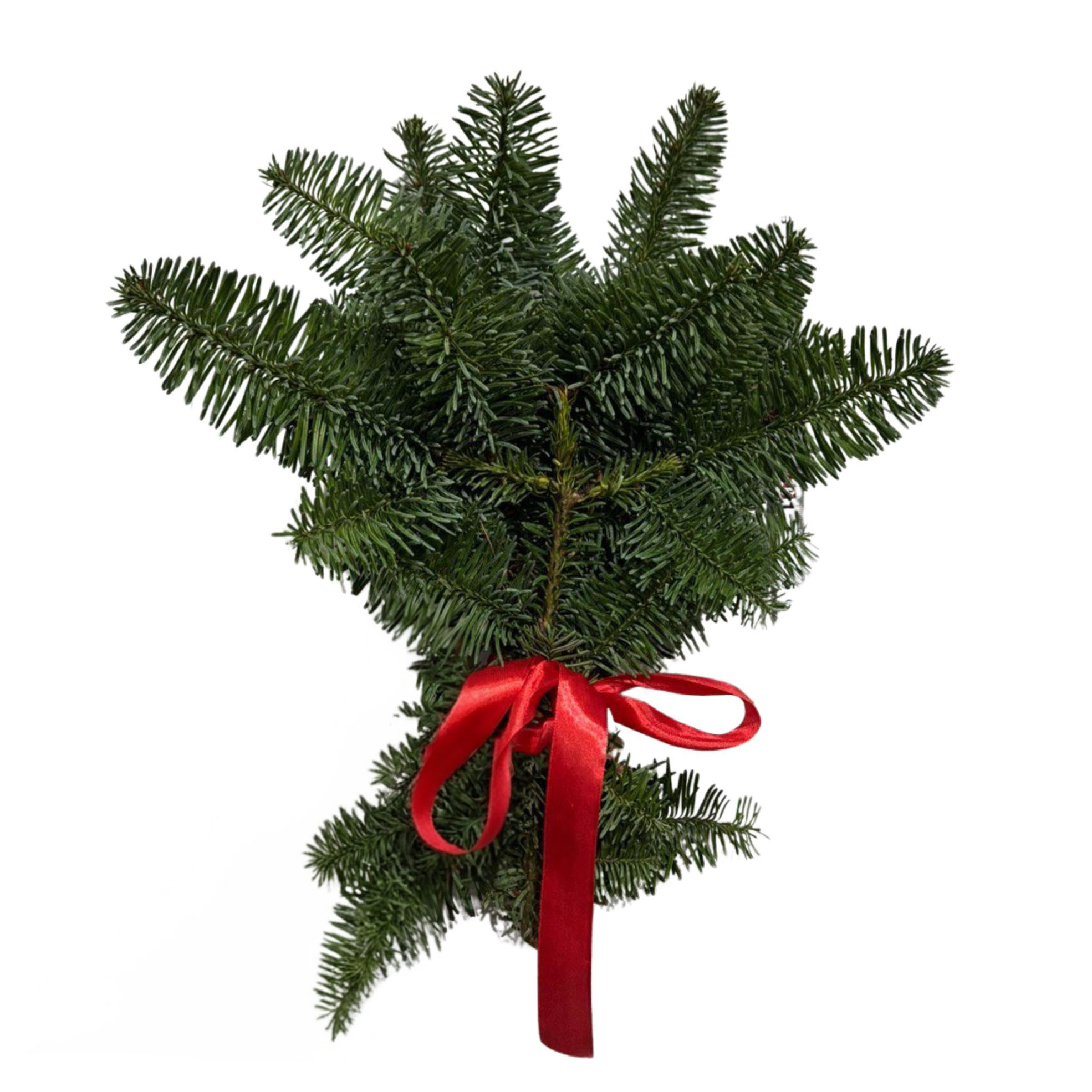 Букет Пихта нобилис в Москве