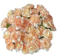 Гвоздика куст мо ян в Москве