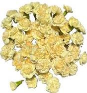 Гвоздика куст ред силк в Москве