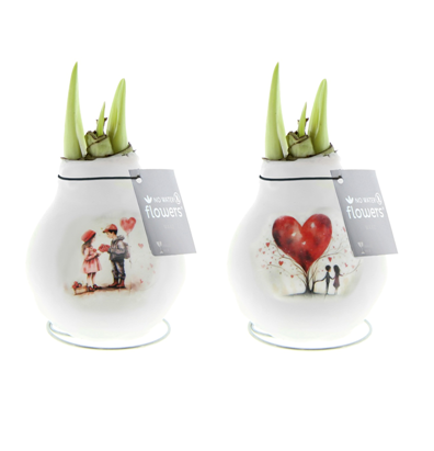 Декор луковица гиппеаструм в воске Ферст лав в Санкт-Петербурге