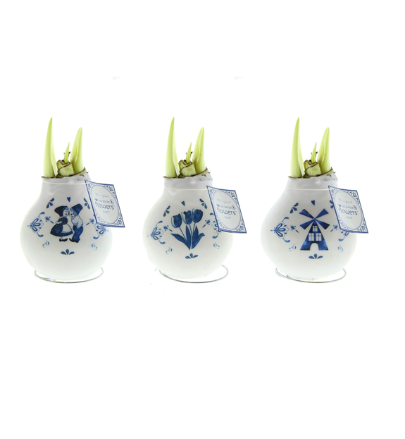 Декор луковица гиппеаструм в воске Крафтс Делфтс Блю микс в Санкт-Петербурге